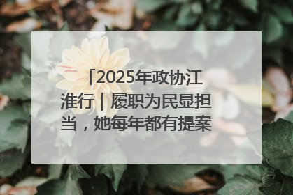 2025年政协江淮行｜履职为民显担当，她每年都有提案被评为“优秀”