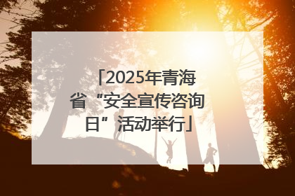 2025年青海省“安全宣传咨询日”活动举行