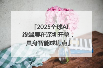 2025全球AI终端展在深圳开幕，具身智能成焦点