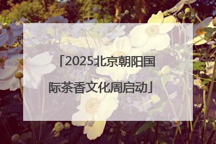 2025北京朝阳国际茶香文化周启动