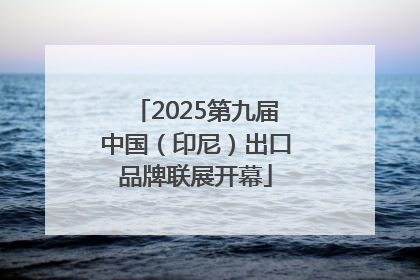 2025第九届中国（印尼）出口品牌联展开幕
