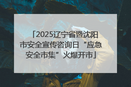 2025辽宁省暨沈阳市安全宣传咨询日“应急安全市集”火爆开市