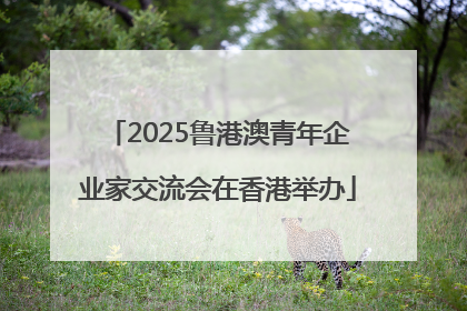 2025鲁港澳青年企业家交流会在香港举办