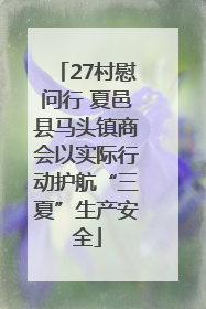 27村慰问行 夏邑县马头镇商会以实际行动护航“三夏”生产安全