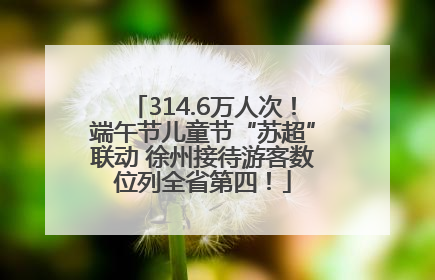 314.6万人次！端午节儿童节“苏超”联动 徐州接待游客数位列全省第四！
