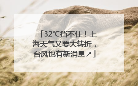 32℃挡不住！上海天气又要大转折，台风也有新消息↗