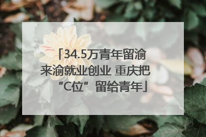 34.5万青年留渝来渝就业创业 重庆把“C位”留给青年