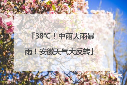 38℃！中雨大雨暴雨！安徽天气大反转