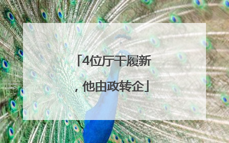 4位厅干履新，他由政转企