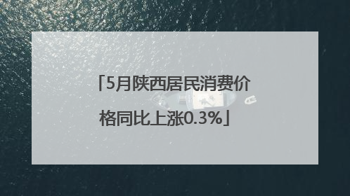 5月陕西居民消费价格同比上涨0.3%