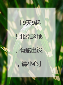 9天9起！北京这地，有蛇出没，请小心