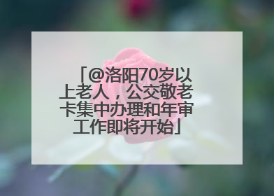@洛阳70岁以上老人，公交敬老卡集中办理和年审工作即将开始