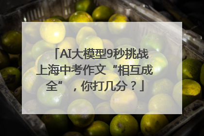 AI大模型9秒挑战上海中考作文“相互成全”，你打几分？