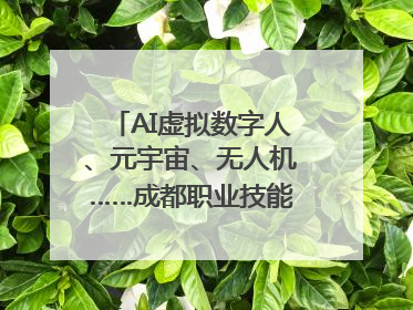 AI虚拟数字人、元宇宙、无人机……成都职业技能大赛启动