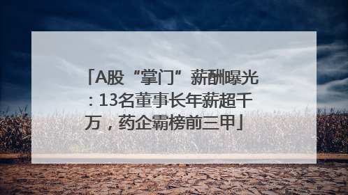 A股“掌门”薪酬曝光：13名董事长年薪超千万，药企霸榜前三甲