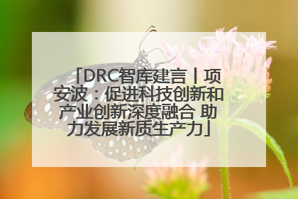 DRC智库建言丨项安波：促进科技创新和产业创新深度融合 助力发展新质生产力