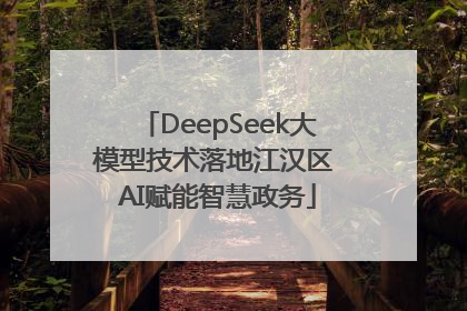 DeepSeek大模型技术落地江汉区 AI赋能智慧政务