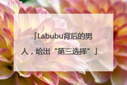 Labubu背后的男人，给出“第三选择”