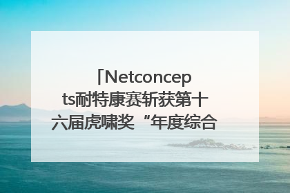 Netconcepts耐特康赛斩获第十六届虎啸奖“年度综合服务商”大奖