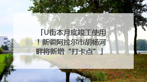 U街本月底竣工使用！新疆阿拉尔市胡杨河畔将新增“打卡点”